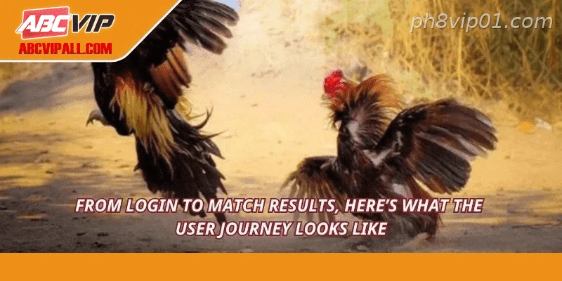 From login to match results, here’s what the user journey looks like
