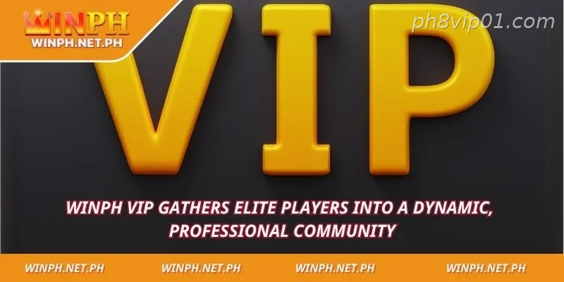 PH8 VIP gathers elite players into a dynamic, professional community